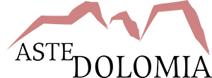 Aste Dolomia — Casa d'Aste a Rovereto